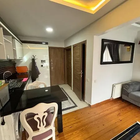 公寓 Spacious And Cozy Flat Near Taksim Square No3 *
