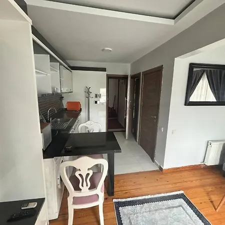 公寓 Spacious And Cozy Flat Near Taksim Square No3 伊斯坦布尔