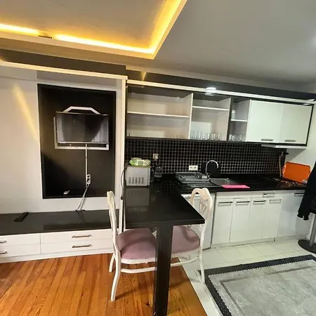 Spacious And Cozy Flat Near Taksim Square No3 公寓 *